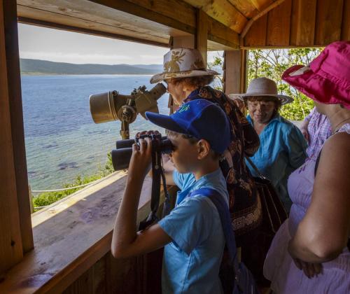 Misrlik ayollar jinsiy aloqa